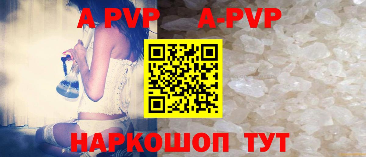 Альфа ПВП СК Ленинск-Кузнецкий