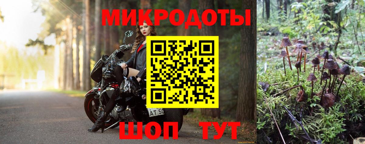 Псилоцибиновые грибы MAGIC MUSHROOMS  наркота  Вход с VPN  Ленинск-Кузнецкий  Псилоцибиновые грибы Magic Shrooms 